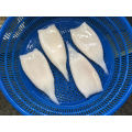 Frozen Squid Illex Squid Tube For Eu Market